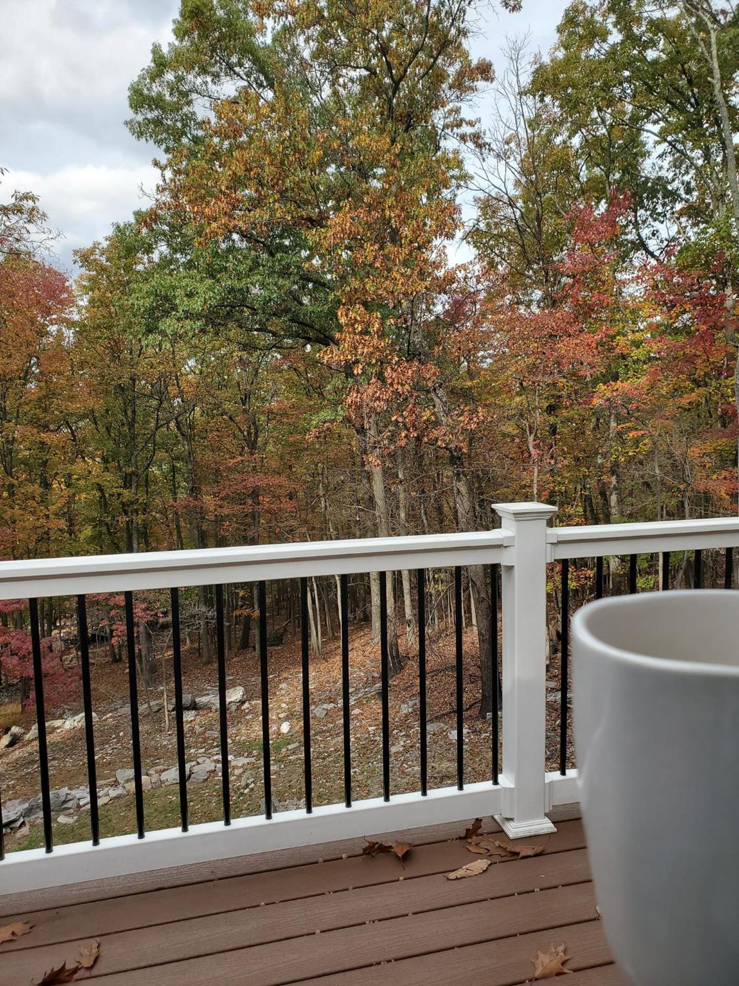 Family Friendly Mountain Cabin With Steam Shower Villa Harpers Ferry Buitenkant foto